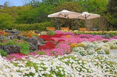 🖼️ 뉴욕 램프 박물관 & 플라워 가든(뉴욕 램프 뮤지엄 & 플라워 가든)